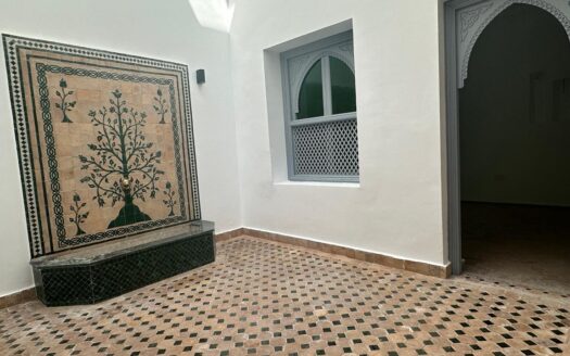 Riad réquisition à vendre à Kaat Benahid