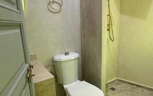 Riad réquisition à vendre à Kaat Benahid